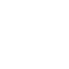 web SP icon valores 2 Tailored Solutions